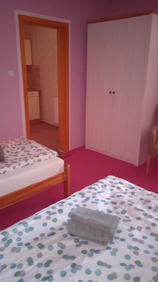 Ubytovani V Soukromi Na Podluzi Josefov Dış mekan fotoğraf